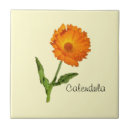 Recherche de gouttes de pluie carreaux Orange