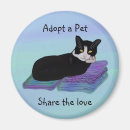 Recherche de petit somme magnets Chat