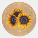 Recherche de tournesol orange Automne