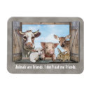 Recherche de amis animaux magnets Vache
