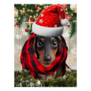 Recherche de animaux portraits Dogs