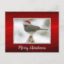 Recherche de chapeau rouge cartes postales Mignon