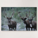 Recherche de wapiti puzzles Faune