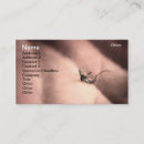Recherche de moustique cartes visite Insecte