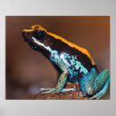 Recherche de décor dart posters Costa rica