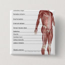 Recherche de diagramme buttons Trois