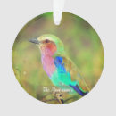 Recherche de oiseaux colorés ornements Mignon