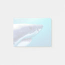 Recherche de great white shark posters Mâchoire
