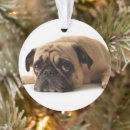 Recherche de triste ornements Animal