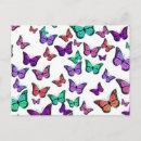 Recherche de joli papillon cartes postales Violet