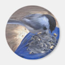 Recherche de genoux magnets Animaux