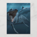 Recherche de fixation cartes postales Pour tous