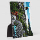 Recherche de chauve plaques Aigle