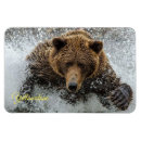 Recherche de bear magnete Jaune