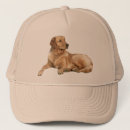 Recherche de golden retriever casquettes D'or