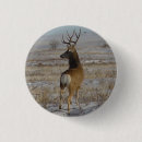 Recherche de mulet badges Chasse