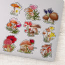 Recherche de photo album scrapbook albums Floral