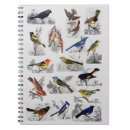 Recherche de oiseau vintage carnets Gris