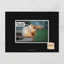 Recherche de shampooing posters Je peux avoir cheezburger