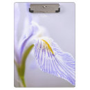 Recherche de iris sauvage Nature