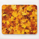 Recherche de automne feuille tapis souris Nature