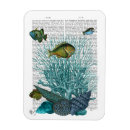 Recherche de coquillage magnets Vie marine