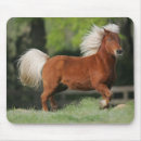 Recherche de cheval miniature tapis souris Plomb langrish