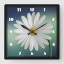 Recherche de marguerite blanche horloges Marguerie