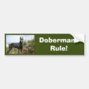 Recherche de dobermann voiture autocollants Dobie