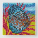 Recherche de poissons tropicaux horloges Côtier