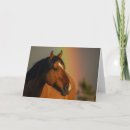 Recherche de étalon sauvage vœux cartes Cheval