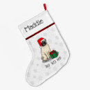 Recherche de chien carlin chaussette de noël Carlins