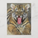 Recherche de bâillon cartes postales Nature