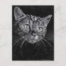 Recherche de visage noir blanc chat cartes postales Pour tous