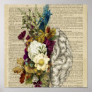 Recherche de anatomie cerveau posters Médecin