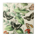 Recherche de de jardin carreaux Papillons