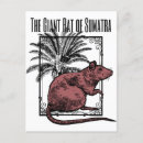 Recherche de sherlock cartes postales Holmes de serrure