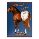 Recherche de appaloosas cartes postales Occidental