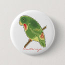 Recherche de perroquet vert badges Nature