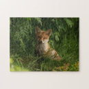 Recherche de renards puzzles Mignon renard