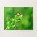 Recherche de coccinelle puzzles Insecte