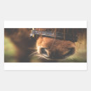 Recherche de photo de cheval autocollants Équestre