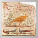 Recherche de oiseau phoenix posters Oiseaux