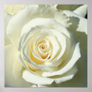 Recherche de floral crème art Toile