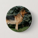 Recherche de deutsch badges Schaferhund de deutscher