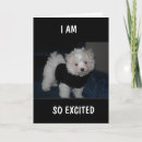 Recherche de 9ème vœux cartes 9 ans