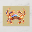 Recherche de crabe mignon Littoral