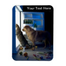 Recherche de marcheurs magnets Soins aux animaux