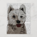 Recherche de westie cartes postales West highland terrier
