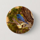 Recherche de merle badges Photographie